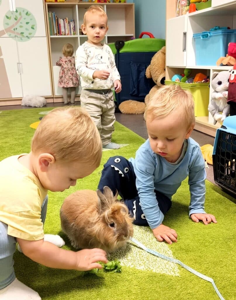 Krasnal Biskupice Żłobek (13)